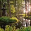 Weekend z jogą 3-6 stycznia 2025 Przestrzeń Grom - obrazek 9