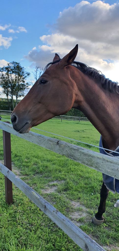 Sylwester z jogą 2025/6 - obrazek 6