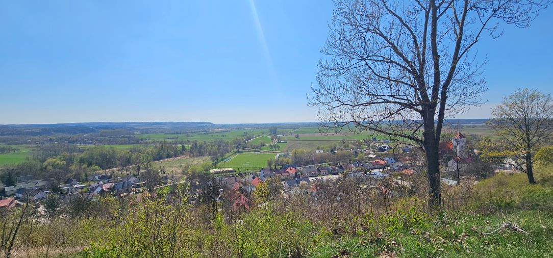 Detoks sokami z jogą 2026 - obrazek 27