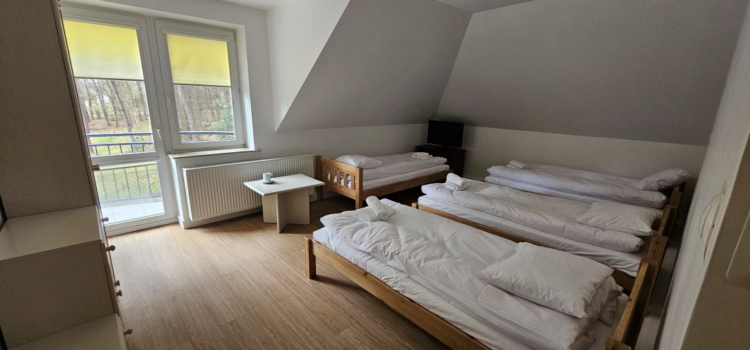 Detoks sokami z jogą 2026 - obrazek 21