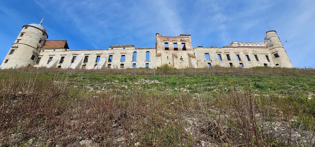 Detoks sokami z jogą 2026 - obrazek 8