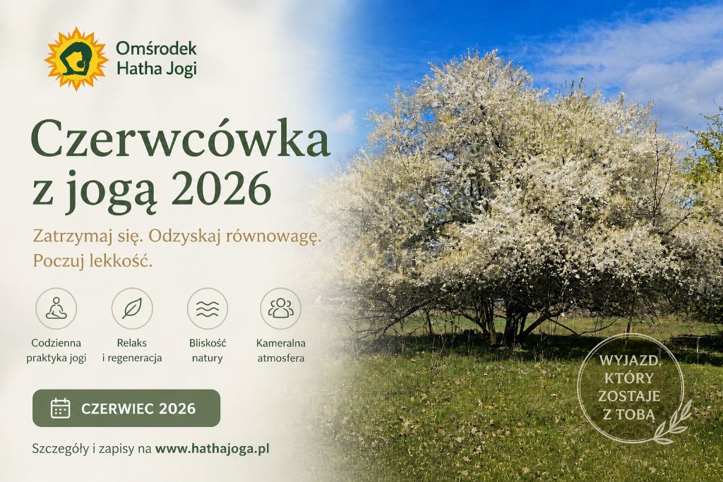 Dlaczego wyjazd z jogą działa lepiej niż pojedyncze zajęcia